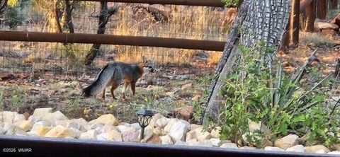 Tiny photo for 3408 Ponderosa Loop, Heber, AZ 85928 (MLS # 260239)