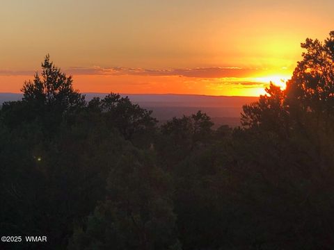 Tiny photo for Lot 20 Mountain Pine Road, Vernon, AZ 85940 (MLS # 255131)