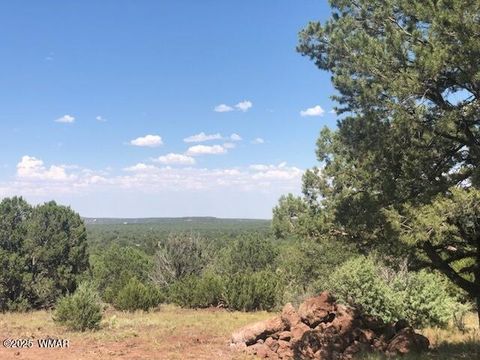 Tiny photo for Lot 20 Mountain Pine Road, Vernon, AZ 85940 (MLS # 255131)