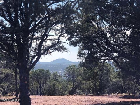 Photo of Lot 20 Mountain Pine Road, Vernon, AZ 85940 (MLS # 255131)
