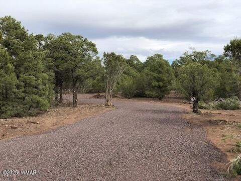 Tiny photo for Lot 20 Mountain Pine Road, Vernon, AZ 85940 (MLS # 255131)