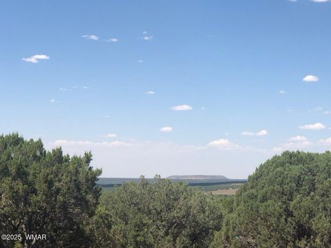 Tiny photo for Lot 20 Mountain Pine Road, Vernon, AZ 85940 (MLS # 255131)