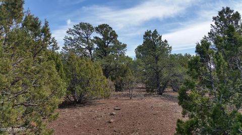 Tiny photo for Lot 20 Mountain Pine Road, Vernon, AZ 85940 (MLS # 255131)