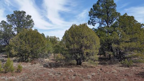 Tiny photo for Lot 20 Mountain Pine Road, Vernon, AZ 85940 (MLS # 255131)