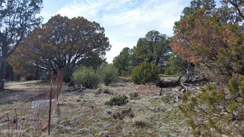Tiny photo for Lot 20 Mountain Pine Road, Vernon, AZ 85940 (MLS # 255131)