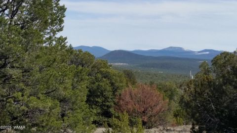 Tiny photo for Lot 20 Mountain Pine Road, Vernon, AZ 85940 (MLS # 255131)