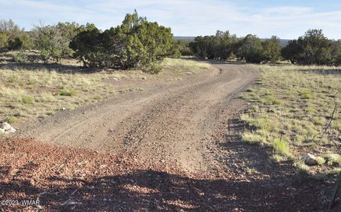 Tiny photo for 13J Wagon Ln, Show Low, AZ 85901 (MLS # 246555)