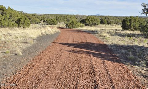 Tiny photo for 13J Wagon Ln, Show Low, AZ 85901 (MLS # 246555)