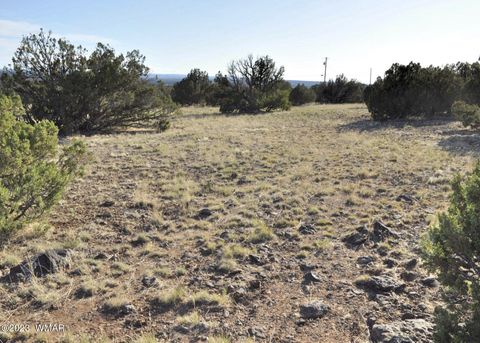 Tiny photo for 13J Wagon Ln, Show Low, AZ 85901 (MLS # 246555)