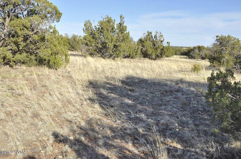 Tiny photo for 13J Wagon Ln, Show Low, AZ 85901 (MLS # 246555)