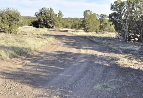 Tiny photo for 13J Wagon Ln, Show Low, AZ 85901 (MLS # 246555)