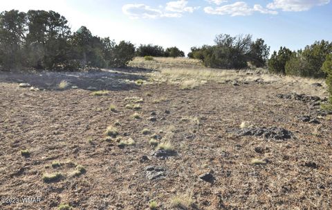 Tiny photo for 13J Wagon Ln, Show Low, AZ 85901 (MLS # 246555)