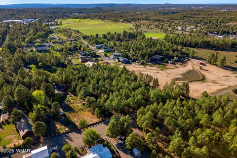 Tiny photo for 2865 Penney Lane, Lakeside, AZ 85929 (MLS # 258213)