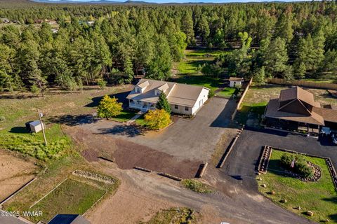Tiny photo for 2865 Penney Lane, Lakeside, AZ 85929 (MLS # 258213)