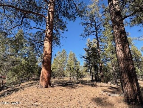 Tiny photo for 3290 W Black Oak Loop, Show Low, AZ 85901 (MLS # 259077)