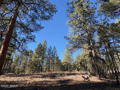 Tiny photo for 3290 W Black Oak Loop, Show Low, AZ 85901 (MLS # 259077)