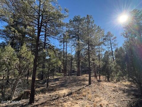 Tiny photo for 3290 W Black Oak Loop, Show Low, AZ 85901 (MLS # 259077)