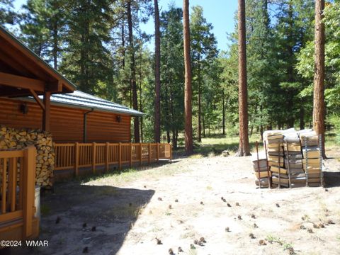 Tiny photo for 3 CR 2190, Alpine, AZ 85920 (MLS # 253199)