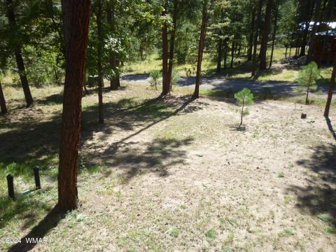 Tiny photo for 3 CR 2190, Alpine, AZ 85920 (MLS # 253199)