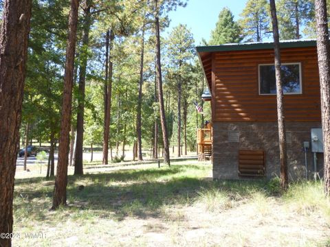 Tiny photo for 3 CR 2190, Alpine, AZ 85920 (MLS # 253199)