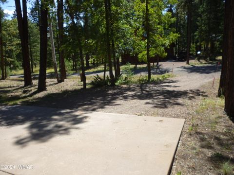 Tiny photo for 3 CR 2190, Alpine, AZ 85920 (MLS # 253199)