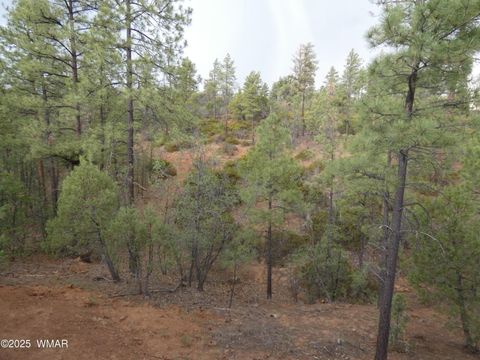 Tiny photo for 6356 Draco Drive, Lakeside, AZ 85929 (MLS # 257511)