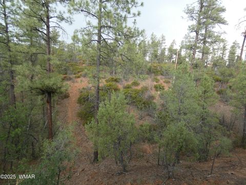 Tiny photo for 6356 Draco Drive, Lakeside, AZ 85929 (MLS # 257511)