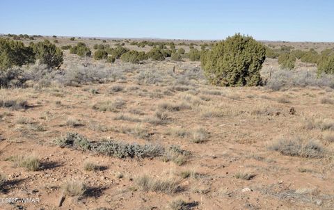 Tiny photo for 5196 White Antelope Road, Snowflake, AZ 85937 (MLS # 252545)