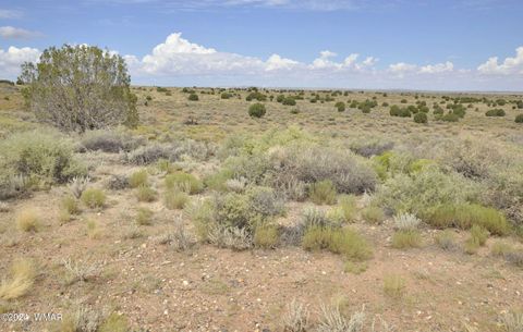 Tiny photo for 5196 White Antelope Road, Snowflake, AZ 85937 (MLS # 252545)