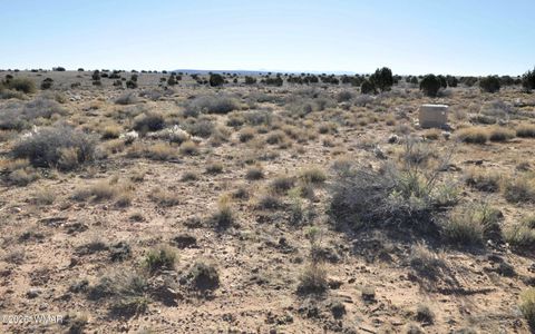 Tiny photo for 5196 White Antelope Road, Snowflake, AZ 85937 (MLS # 252545)