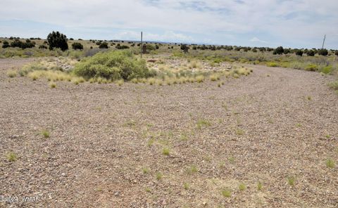 Tiny photo for 5196 White Antelope Road, Snowflake, AZ 85937 (MLS # 252545)