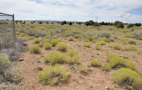 Tiny photo for 5196 White Antelope Road, Snowflake, AZ 85937 (MLS # 252545)