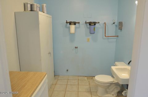 Tiny photo for 5196 White Antelope Road, Snowflake, AZ 85937 (MLS # 252545)