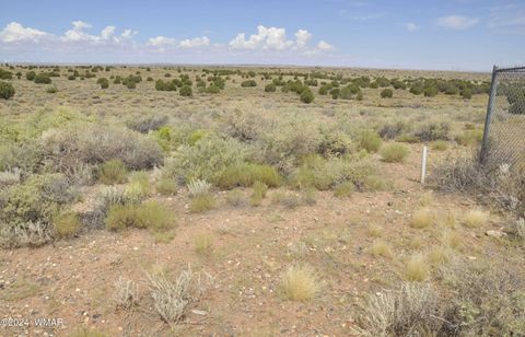 Tiny photo for 5196 White Antelope Road, Snowflake, AZ 85937 (MLS # 252545)