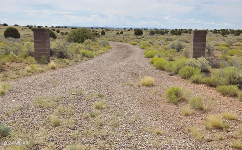 Tiny photo for 5196 White Antelope Road, Snowflake, AZ 85937 (MLS # 252545)