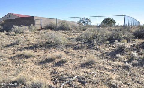 Tiny photo for 5196 White Antelope Road, Snowflake, AZ 85937 (MLS # 252545)