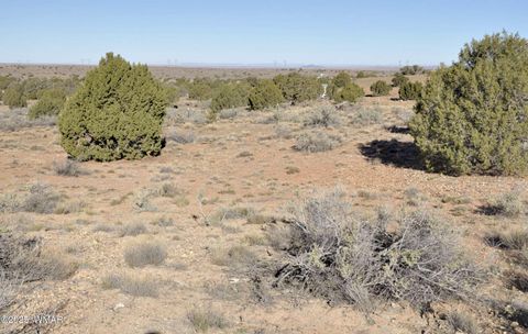 Tiny photo for 5196 White Antelope Road, Snowflake, AZ 85937 (MLS # 252545)