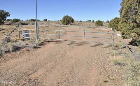 Tiny photo for 5196 White Antelope Road, Snowflake, AZ 85937 (MLS # 252545)
