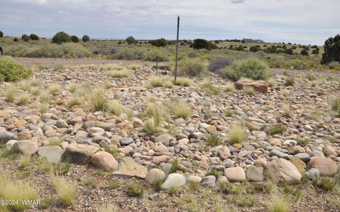 Tiny photo for 5196 White Antelope Road, Snowflake, AZ 85937 (MLS # 252545)