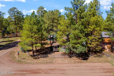 Tiny photo for 2867 Pine Rim Road, Overgaard, AZ 85933 (MLS # 258133)