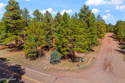 Tiny photo for 2867 Pine Rim Road, Overgaard, AZ 85933 (MLS # 258133)