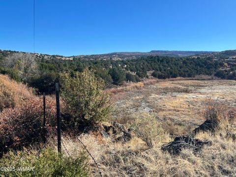 Tiny photo for TBD State Highway 261, Eagar, AZ 85925 (MLS # 258617)