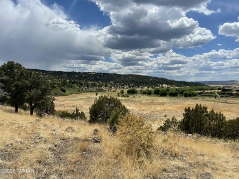 Tiny photo for TBD State Highway 261, Eagar, AZ 85925 (MLS # 258617)