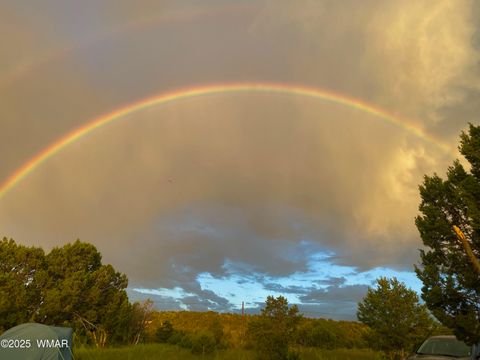 Tiny photo for TBD State Highway 261, Eagar, AZ 85925 (MLS # 258617)