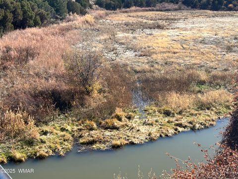 Tiny photo for TBD State Highway 261, Eagar, AZ 85925 (MLS # 258617)