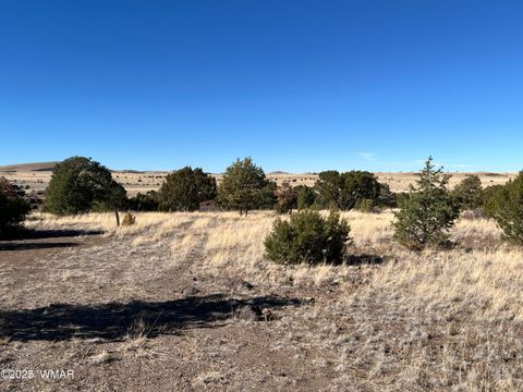 Tiny photo for TBD State Highway 261, Eagar, AZ 85925 (MLS # 258617)