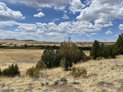Tiny photo for TBD State Highway 261, Eagar, AZ 85925 (MLS # 258617)