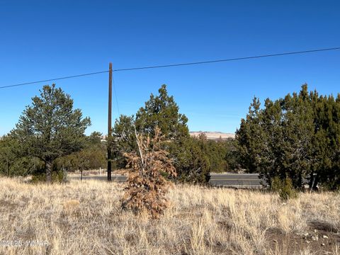 Tiny photo for TBD State Highway 261, Eagar, AZ 85925 (MLS # 258617)
