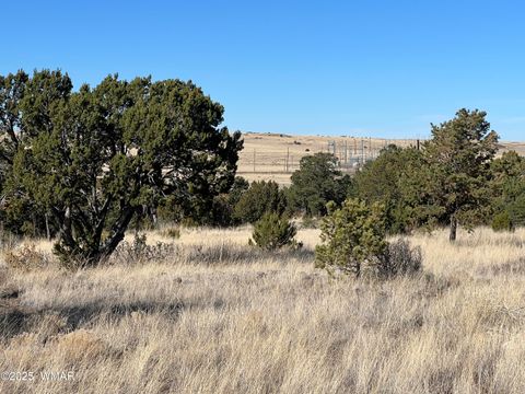 Tiny photo for TBD State Highway 261, Eagar, AZ 85925 (MLS # 258617)