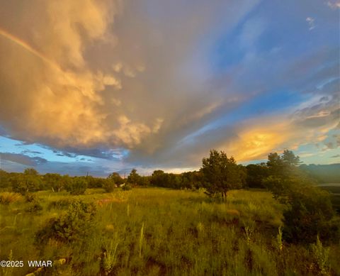 Tiny photo for TBD State Highway 261, Eagar, AZ 85925 (MLS # 258617)